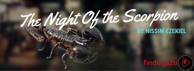 Critical Analysis of night of the scorpion by Nissim Ezekiel
