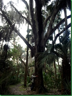 Kissimmee Day 3 010