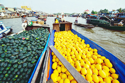 Chợ nổi Cái Bè - Tiền Giang