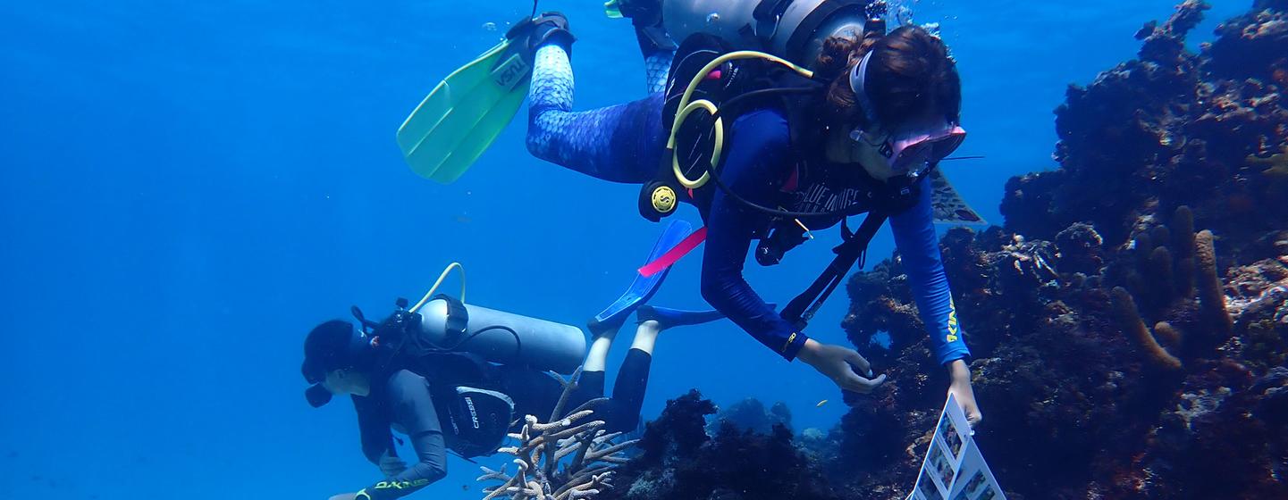 Women lead marine restoration efforts in the UNESCO Seaflower Biosphere Reserve.