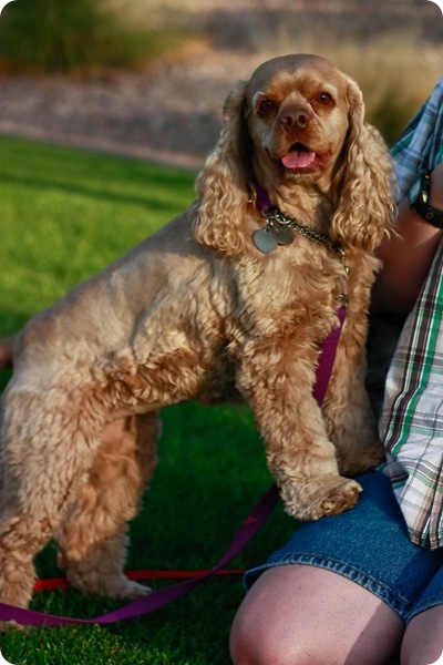 Julie and her dogs (204 of 282)