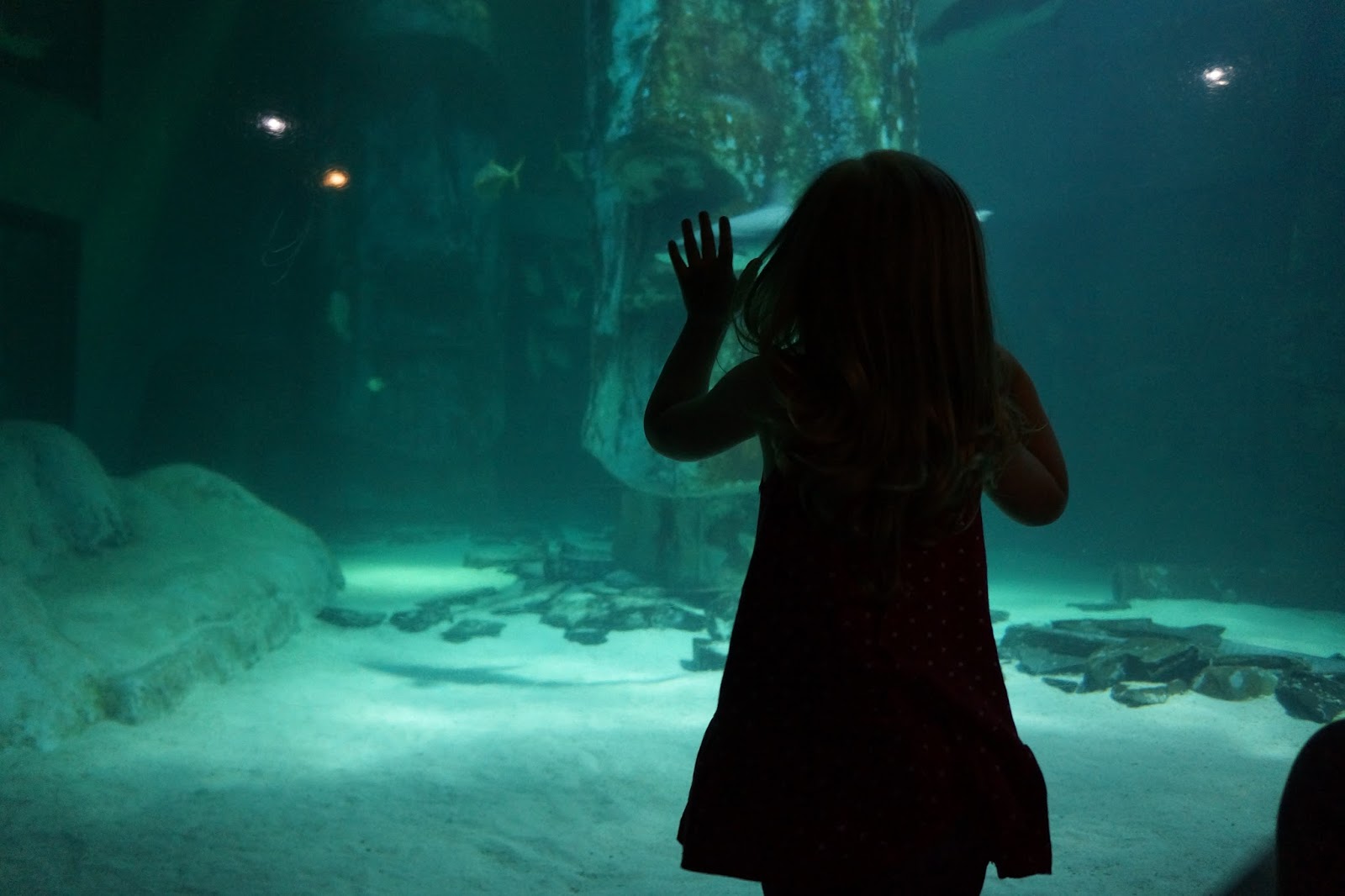 young girl next to london aquarium shark tank