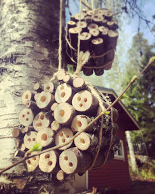 oksista tehty hyönteishotelli roikkuu puusta