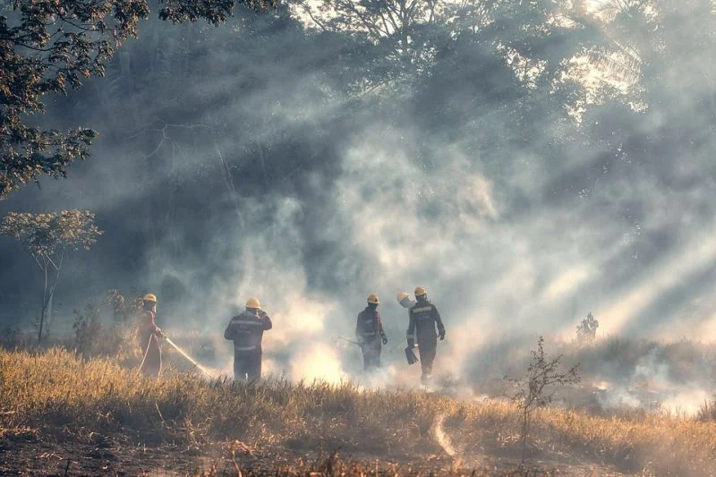 Alerta Temprana Preventiva para la Región de Los Lagos