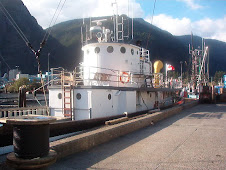 The MVUchuck III - Gold River