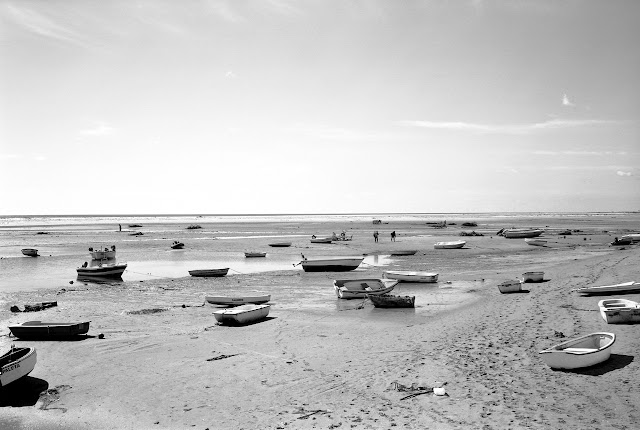 Praia da Fábrica/Ria Formosa, 2013.