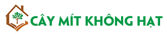 Cây Mít Không Hạt