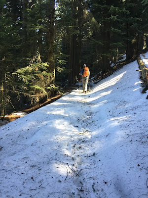 Finally reaching snow around 1400 m. 