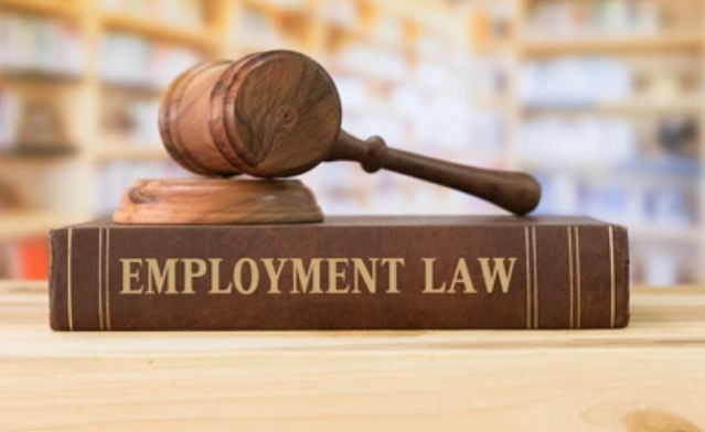 Essential Employment Laws Every Employee Should Know
