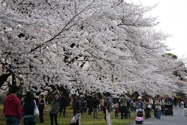 Taman Botanis Koishikawa