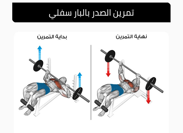 تمرين Decline barbell bench press من أفضل تمارين الصدر في الجيم