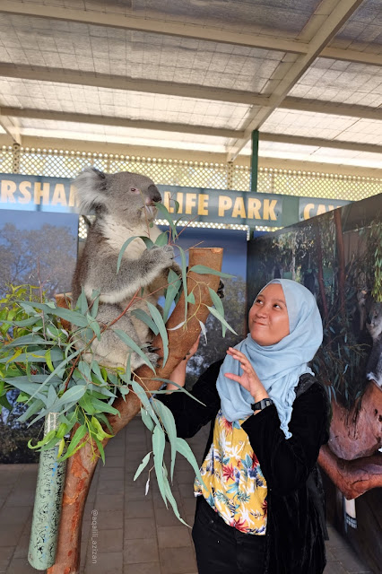 Caversham Wildlife Park perth curitan aqalili