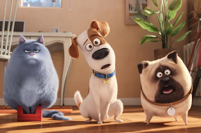 THE SECRET LIFE OF PETS: SINGURI ACASĂ (2015) ONLINE CU SUBTITRARE