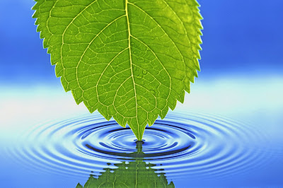 Nature, Cool Nature Desktop Backgrounds Desktop Backgrounds