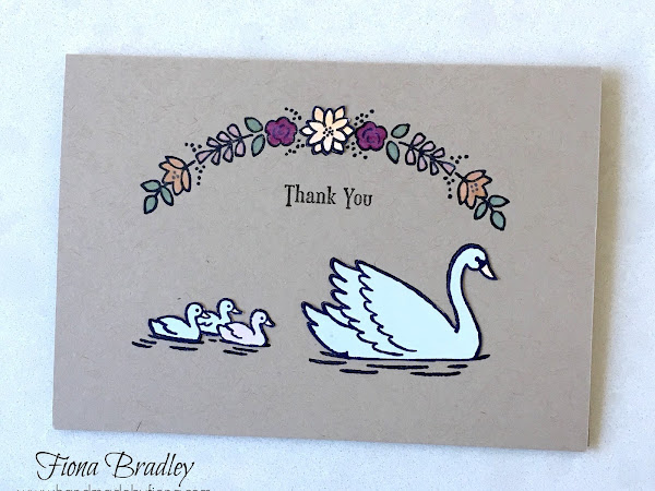 Baby Swan Thanks