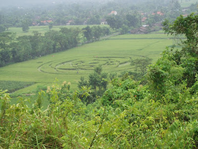 CROP CIRCLE in Yogyakarta