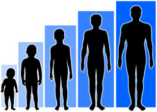  Pertumbuhan tinggi tubuh pada insan akan berhenti pada ketika usia ketika  arif balig cukup akal sekitar  Cara Meninggikan Badan