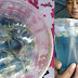 Scientists Successfully Create Bionic Jellyfish