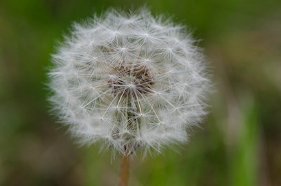 blog__D7K0904_11