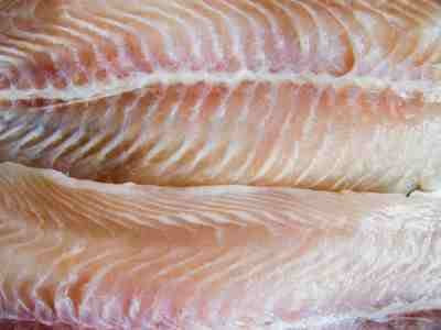 dory fish. FOOD INFORMATION : DORY FISH