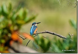 DSC_3592-001