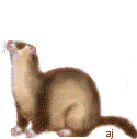 begloopan
