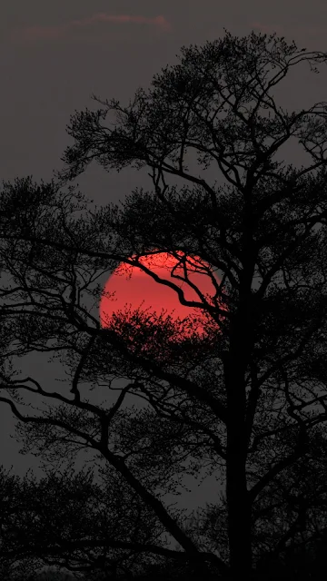 Papel de Parede Anoitecer com Lua Vermelha