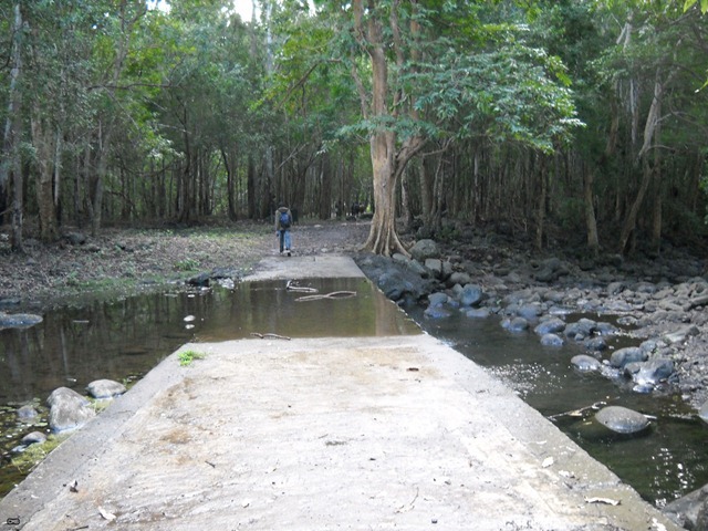 DSCN4219_2
