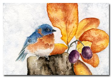 chickadee watercolour painting