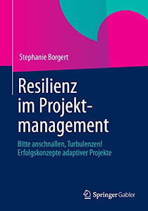 Resilienz im Projektmanagement: Bitte anschnallen, Turbulenzen! Erfolgskonzepte adaptiver Projekte