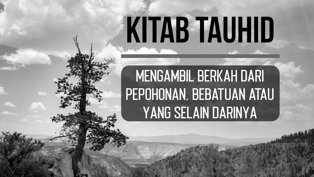 Kitab Tauhid: Mengambil Berkah dari Pepohonan, Bebatuan atau yang Selain Darinya