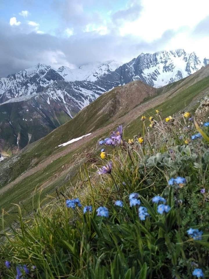 gappameadowsgappamountainsview.neargappavalleygappatopChaprot.cloudoverChariKhandpeakinchaprotvalley