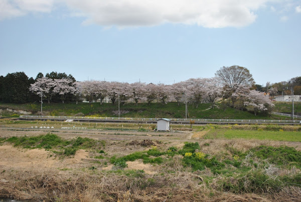 里川新機初橋より上流(右岸)通行可