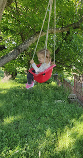 Swinging in the trees