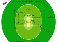 Bentuk dan Ukuran Lapangan Kriket