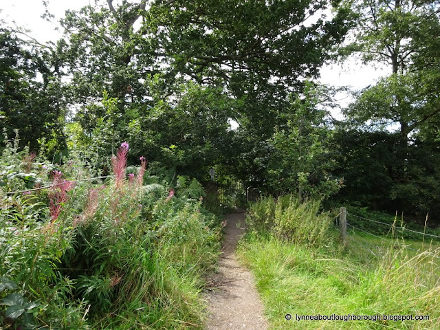 Grassy path leading to a gate