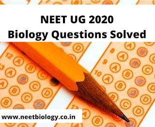 NEET 2020 Biology Questions and Answers (81-90)