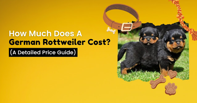 German Rottweiler Cost
