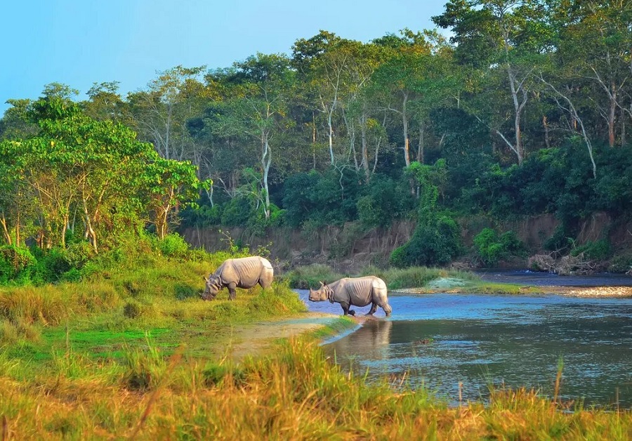 Chitwan National Park