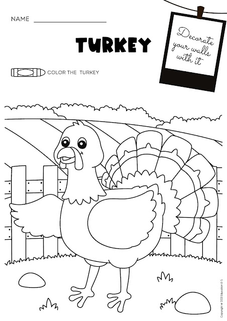 farm - Coloring page - Turkey