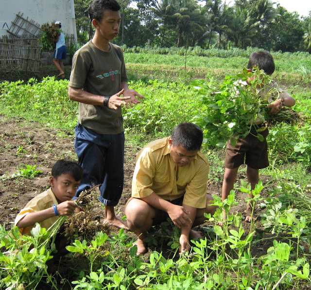 Kegiatan Pertanian