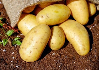 Fast Facts On Potatoes