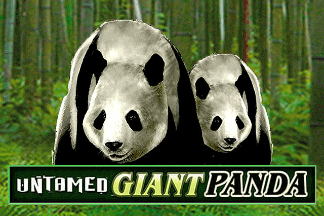 Ulasan Slot Untamed Giant Panda (Microgaming)