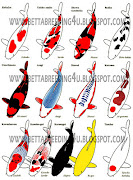 types of koi fish. colors of koi fish. Email ThisBlogThis! (koi )