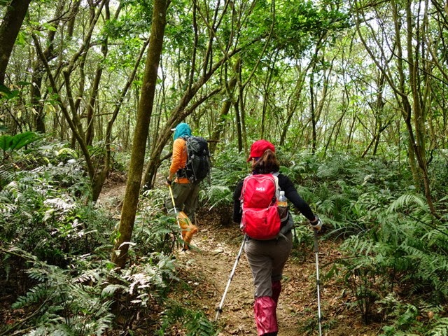 2013_0127 白賓山、真笠山、笠頂山 O走_046