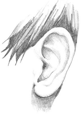 Ear Ringing : Tinnitus And Alcohol Can Alcohol Consumption Worsen Tinnitus