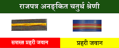 Nepal Police and Armed Police Force Rank Comparison