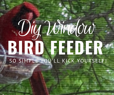 Amazing One Dollar Bird Feeder - The birds love it!