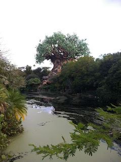 murky river at disney