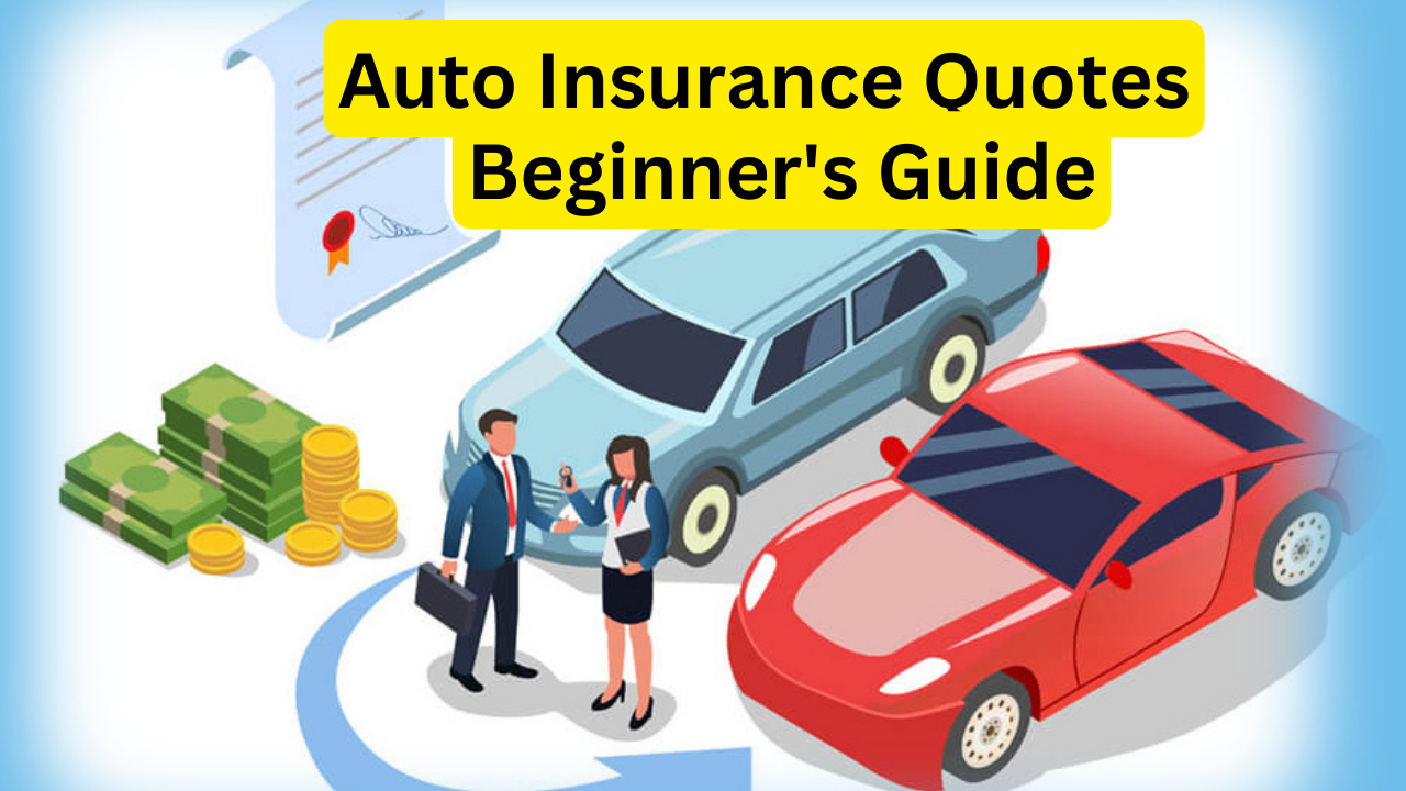 Auto Insurance Quotes | Beginner's Guide